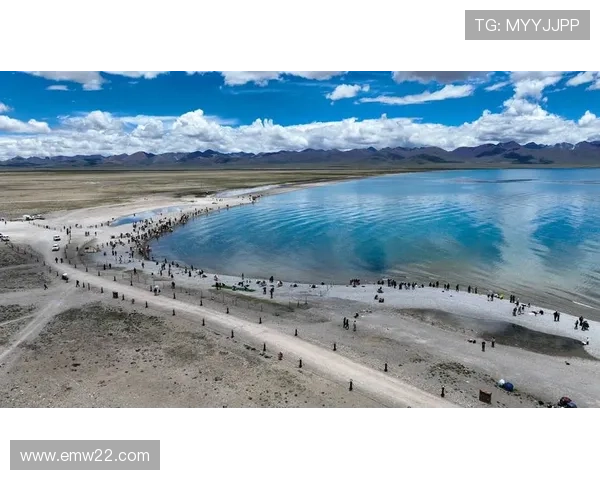 （辉煌60载魅力新西藏）从草原到赛场西藏传统体育焕发新生